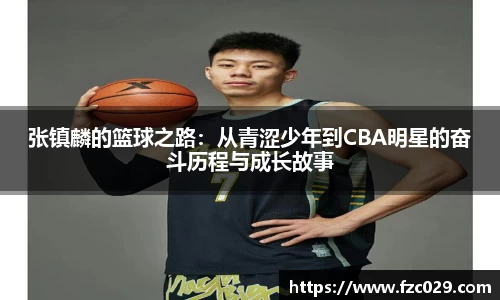 BB贝博登录入口