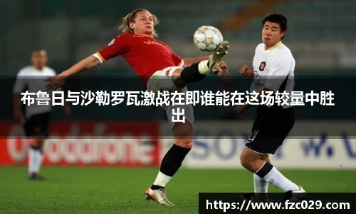 BB贝博登录入口
