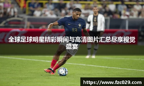 BB贝博