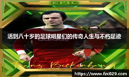 BB贝博登录入口