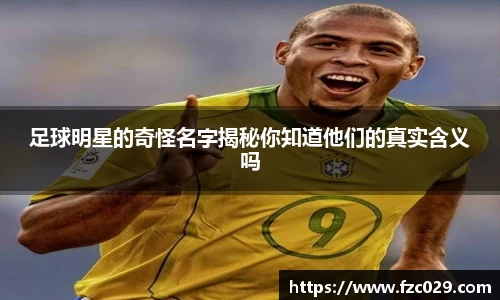 BB贝博登录入口